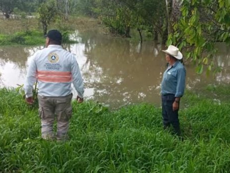 Vigila Protección Civil ríos y arroyos de Pichucalco