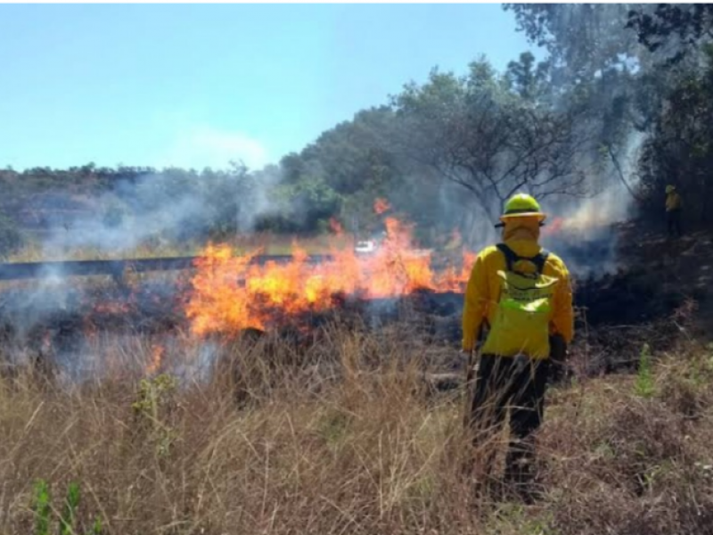 Vigilará CONAFOR zonas de mayor impacto de incendios; Tepic, SAMAO