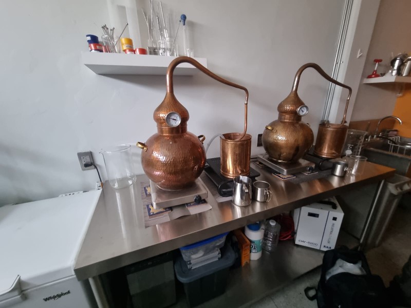 Vinculan a dos extranjeros por falsificar tequila y daños contra la salud