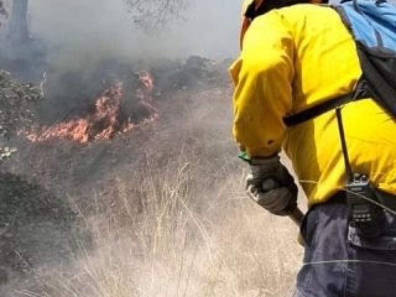 Vinculan a presunto responsable por incendio en La Primavera