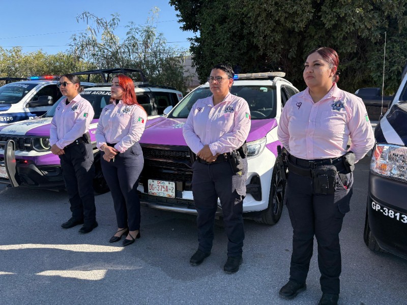 Violencia familiar aumenta y Agrupamiento Violeta recibe 300 llamadas