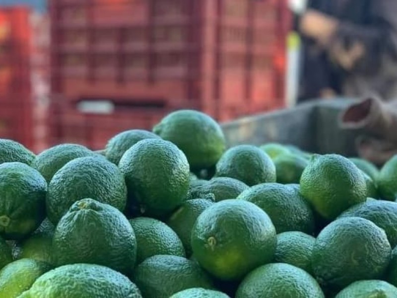 Violencia impacta en los precios del limón y otros productos