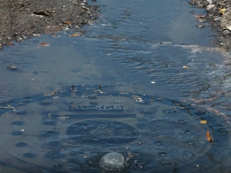 Viven entre aguas negras y malos olores