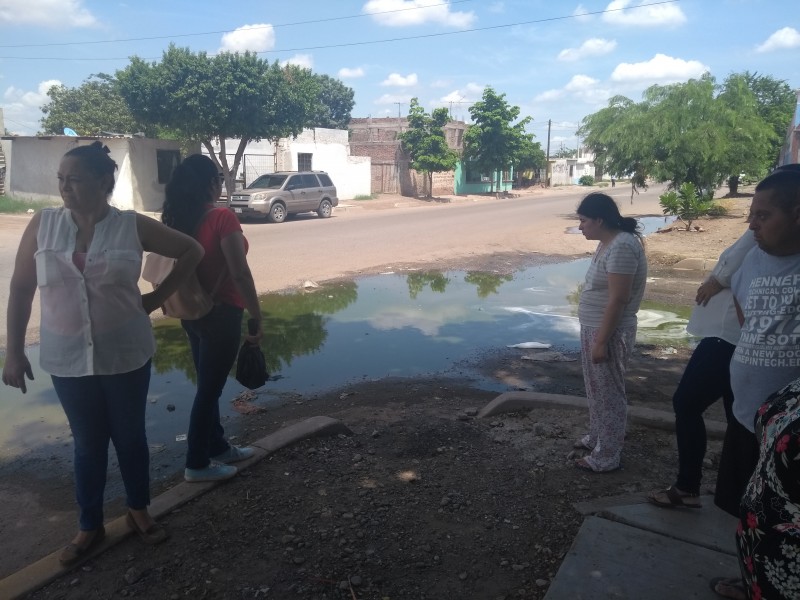 Viven entre las aguas negras