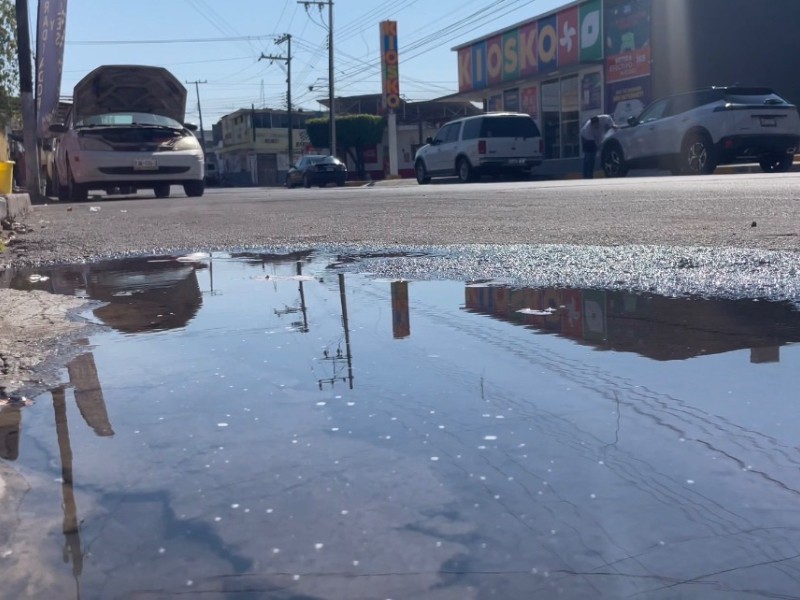 Viven entre malos olores vecinos de la colonia Magisterial en Tepic ...