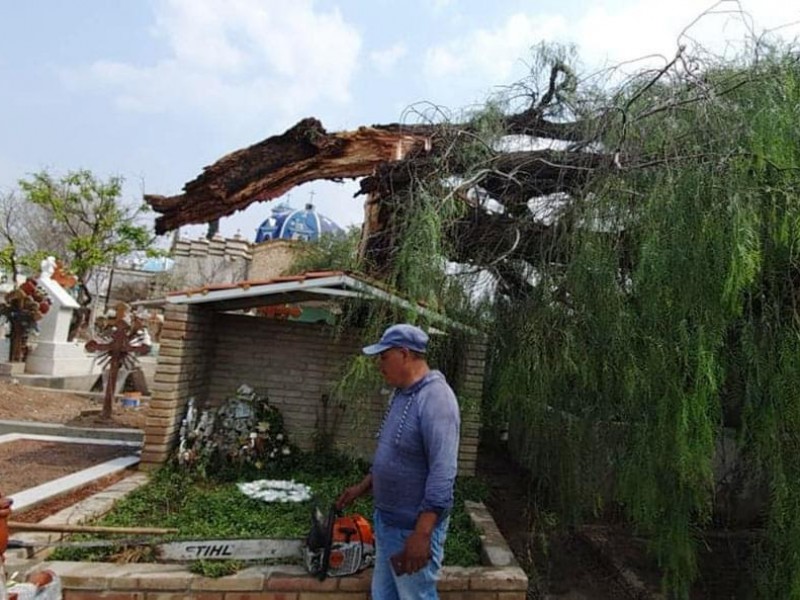 Viviendas y terrenos de cultivo sufren afectaciones en Tehuacán