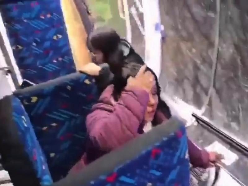 Volcadura de transporte público en Huauchinango deja ocho pasajeros lesionados