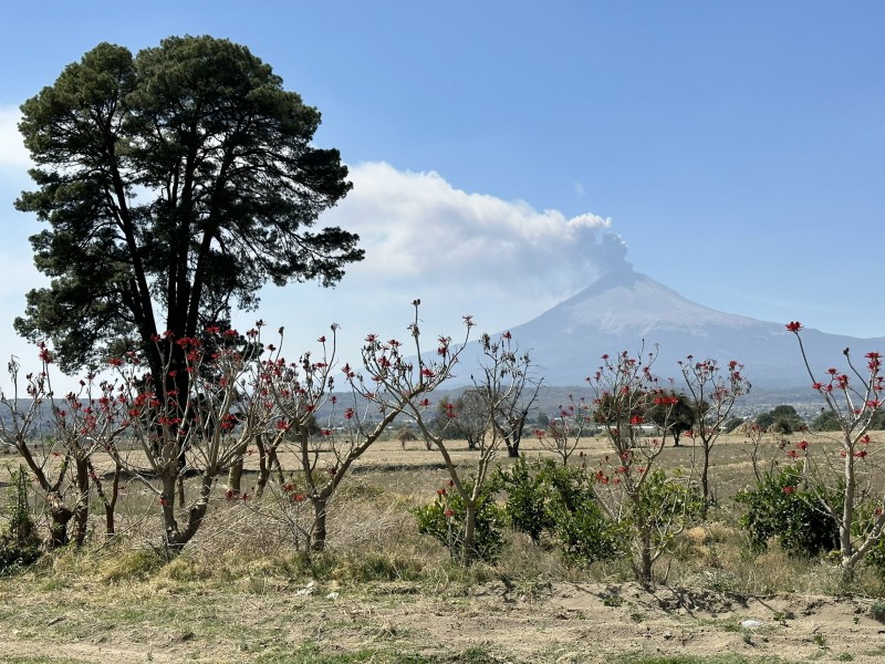 Volcán registra actividad constante