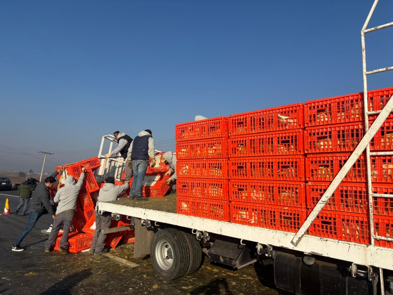 Volcó camión cargado de pollo, ¡milagro! no hubo actos de rapiña