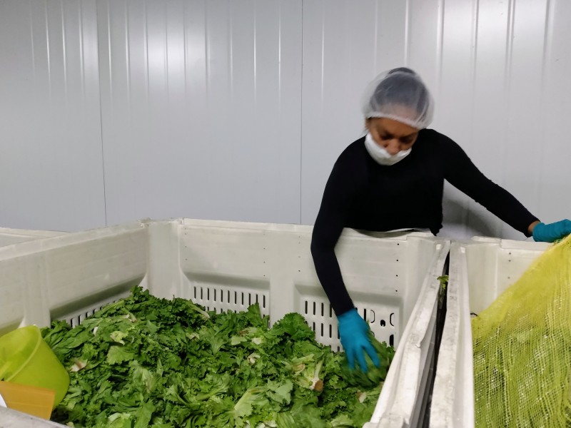 Voluntariado; fuerza laboral del Banco de Alimentos que engrandece altruismo