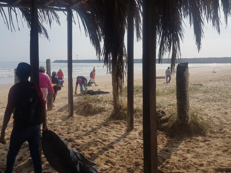 Voluntarios realizaron limpieza de playa