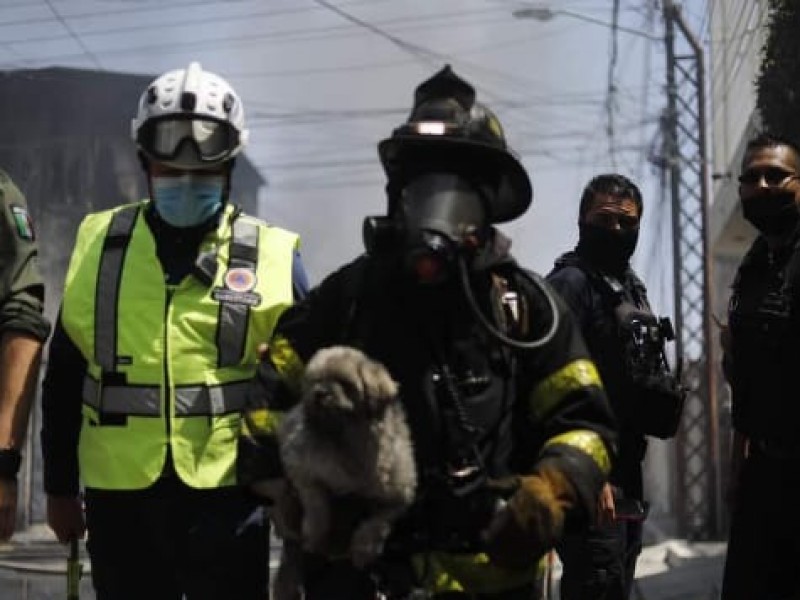 Voraz incendio alcanza 4 domicilios, rescatan a un perrito