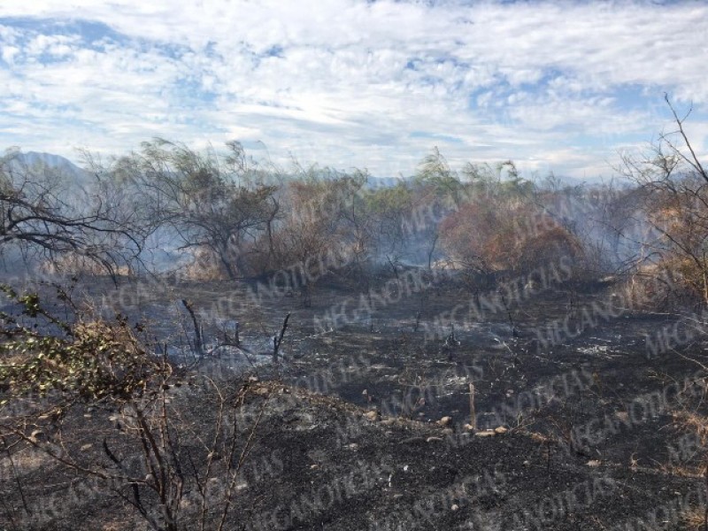 Voraz incendio en el tramo Salina Cruz-Huilotepec