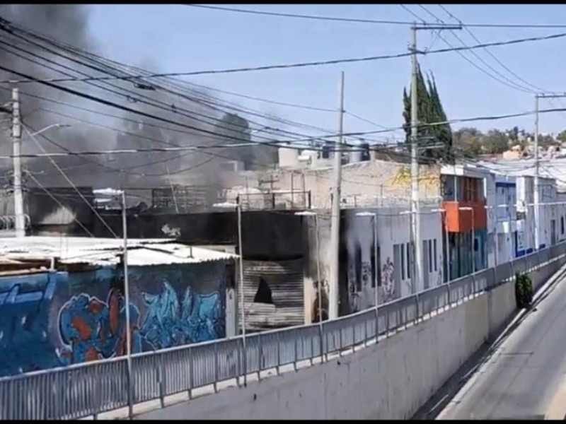 Voraz incendio en Los Alcanfores causa intensa movilización