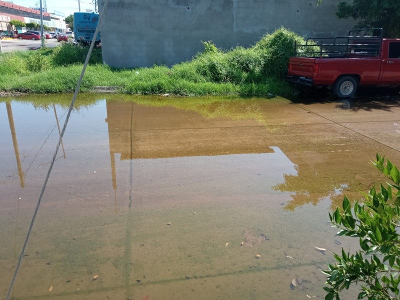 Voz Ciudadana: Denuncian estancamiento de agua en la colonia centro