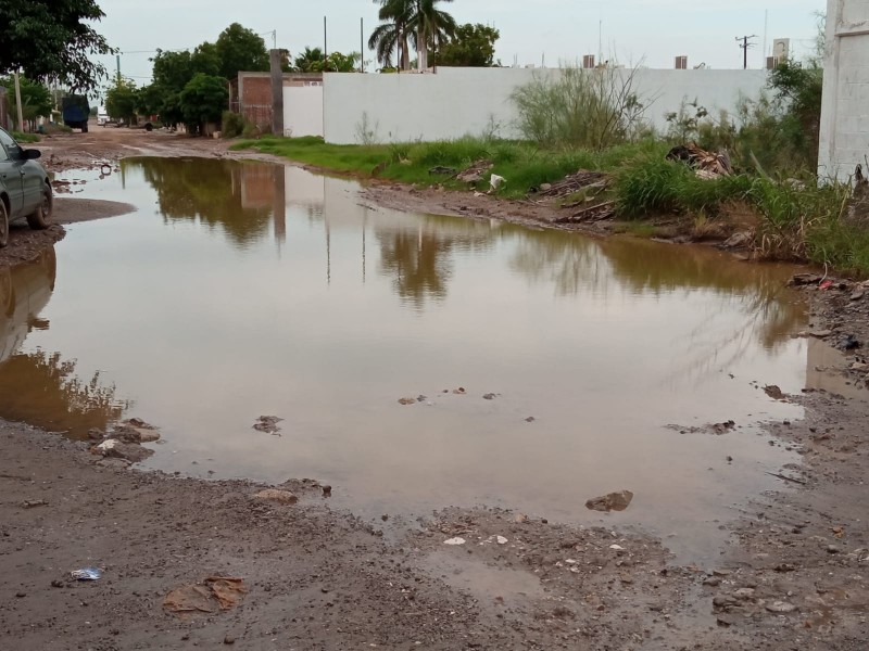 VozCiudadana: Ríos y lagunas, así las calles en 