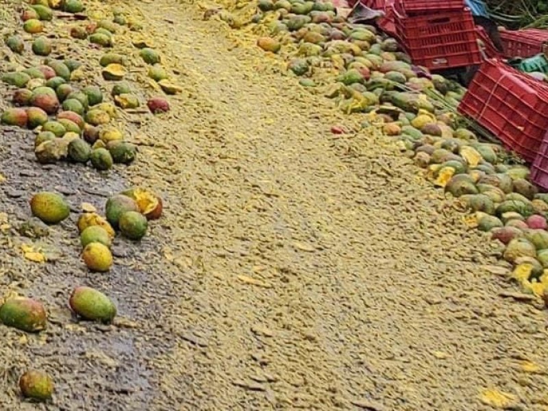 Vuelca camión que transportaba mangos en carretera federal Acapulco-Zihuatanejo