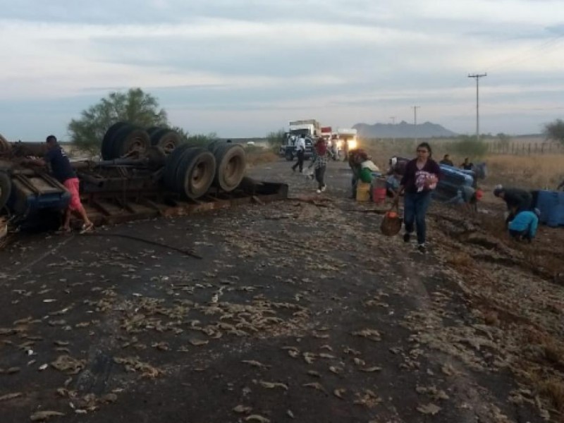 Vuelca tráiler cargado con miles de kilos de camarón