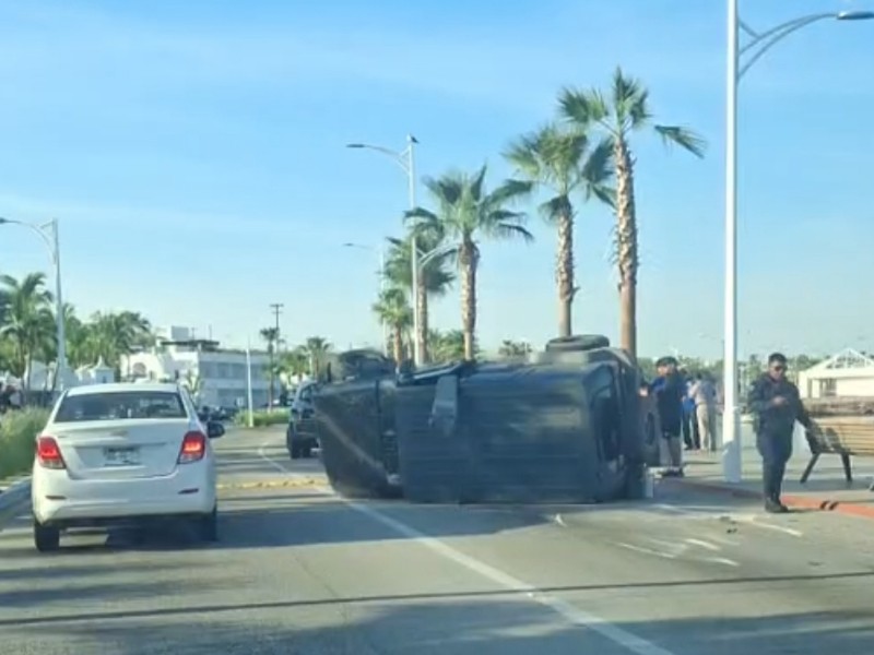 Vuelca vehículo en carretera escénica  tras impactar contra palmera