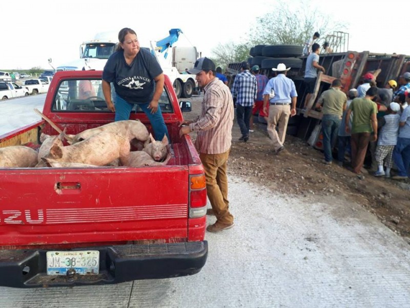 Vuelcan dos trailers con cerdos en Navojoa