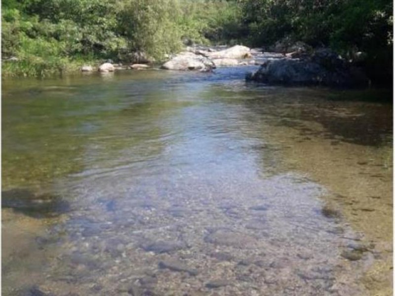 Vuelven a la vida afluentes en Chiapas