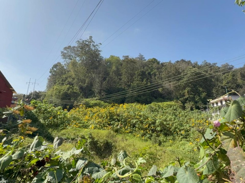 Xalapa, y su ciudad escondida en el Macuiltépetl