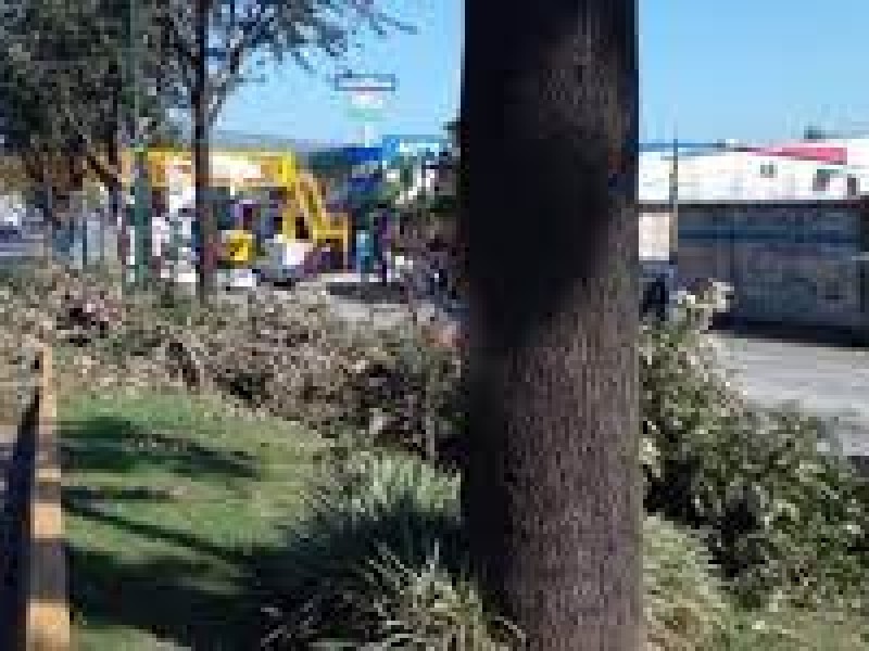 Xalapeños a favor de puente de Lázaro Cárdenas