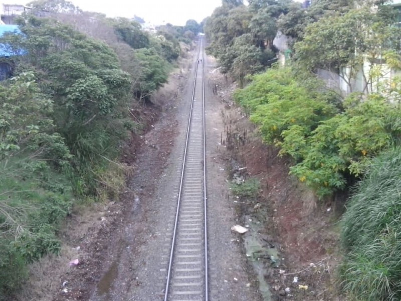 Xalapeños aprobarían proyecto de tren ligero