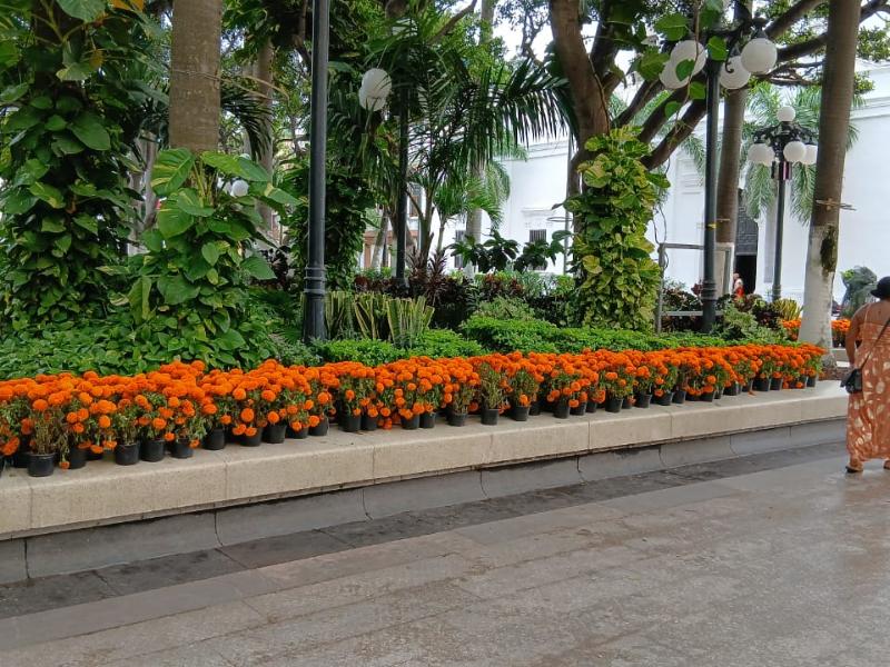 ¡Ya huele a Día de Muertos! Engalanan el zócalo de Veracruz