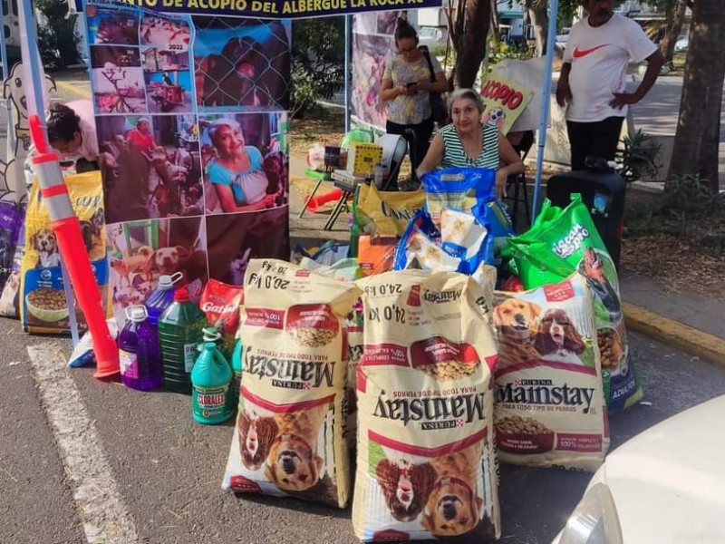 Ya inició el Croquetón, puedes llevar cualquier alimento para perros