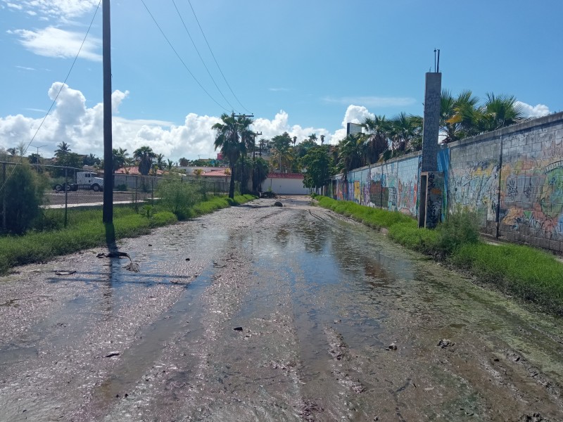 Ya no aguantan los drenajes colapsados en Topolobampo