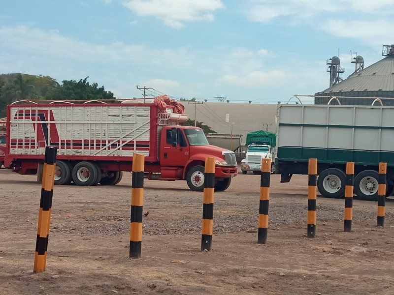 ¡Ya no pueden esperar más! Productores malbaratan su cosecha