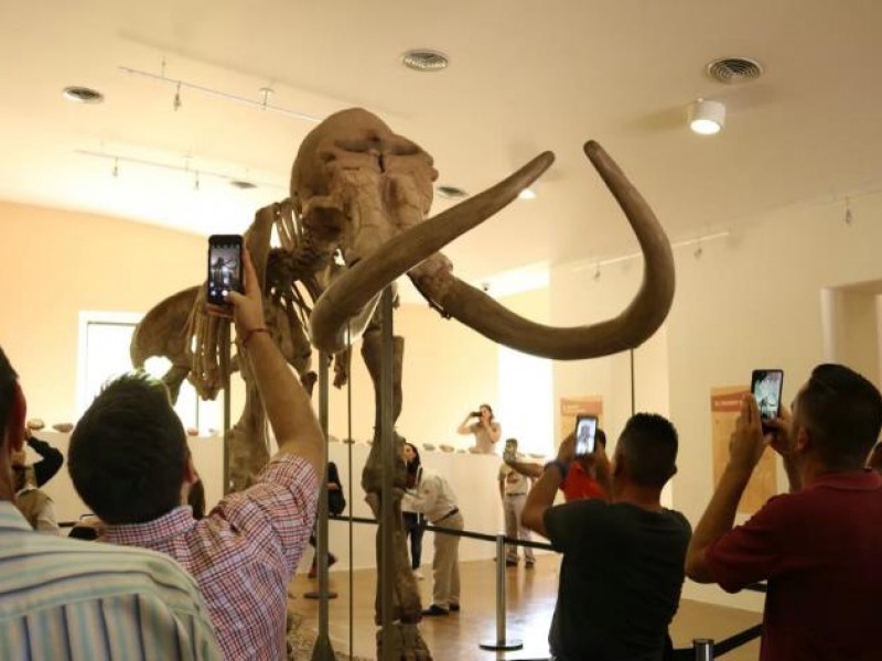 Queda abierta  exposición del Mamut de Ecatepec