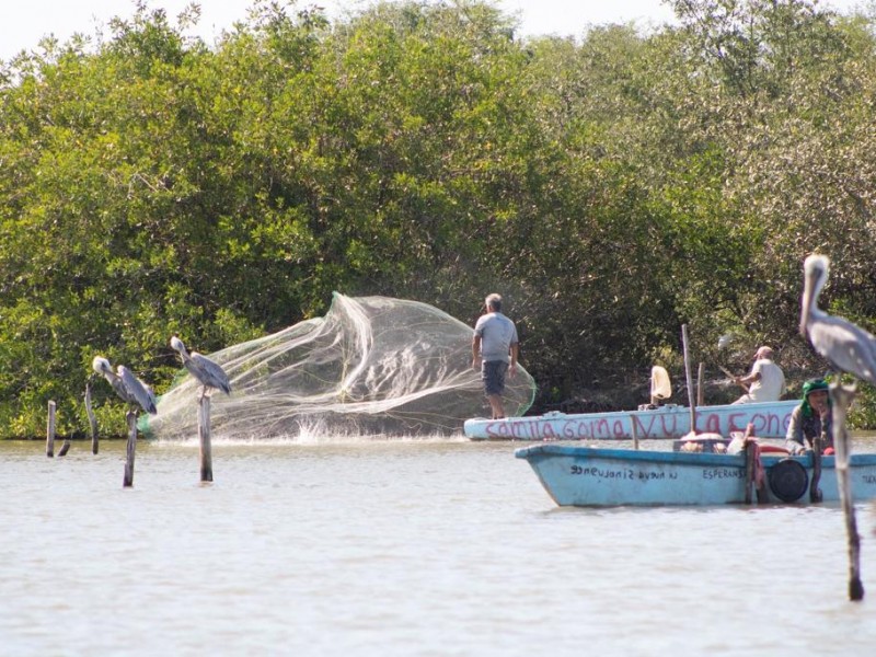 Ya se esperaban malas capturas en lagunas y esteros