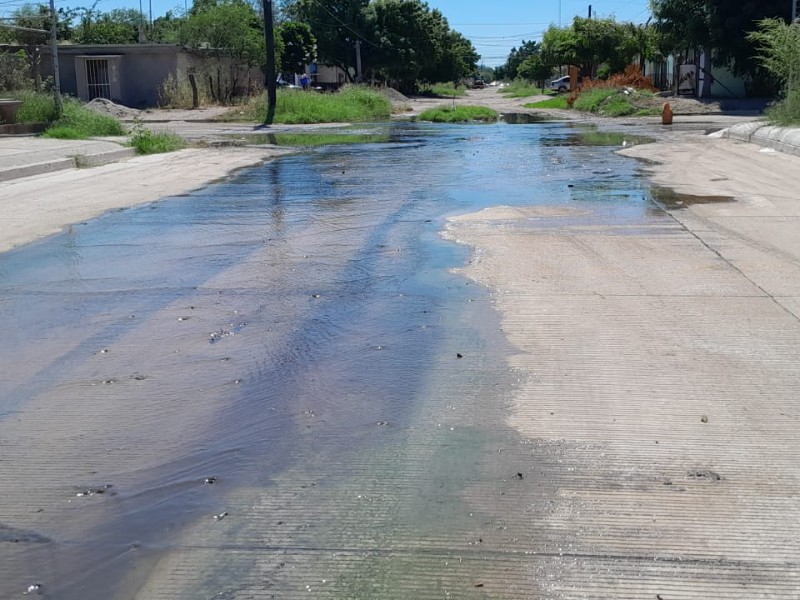 Sin esperanzas, en Navojoa casi se resignan a vivir entre aguas negras