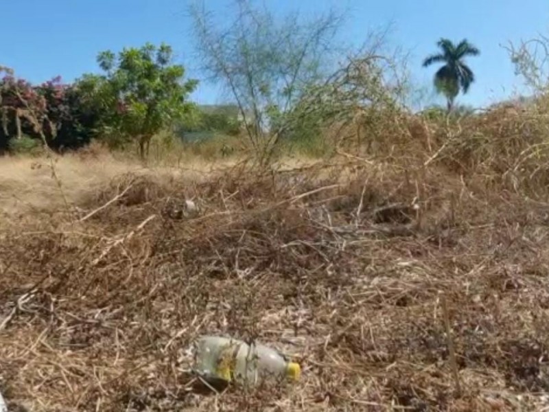 Ya son 24 multas a dueños de lotes baldíos sucios