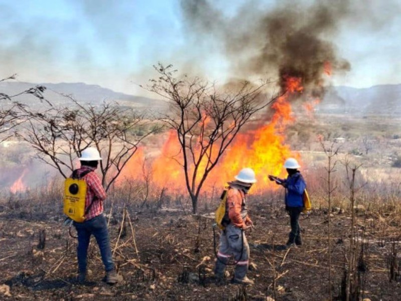Ya suman más de cien incendios en Chiapas