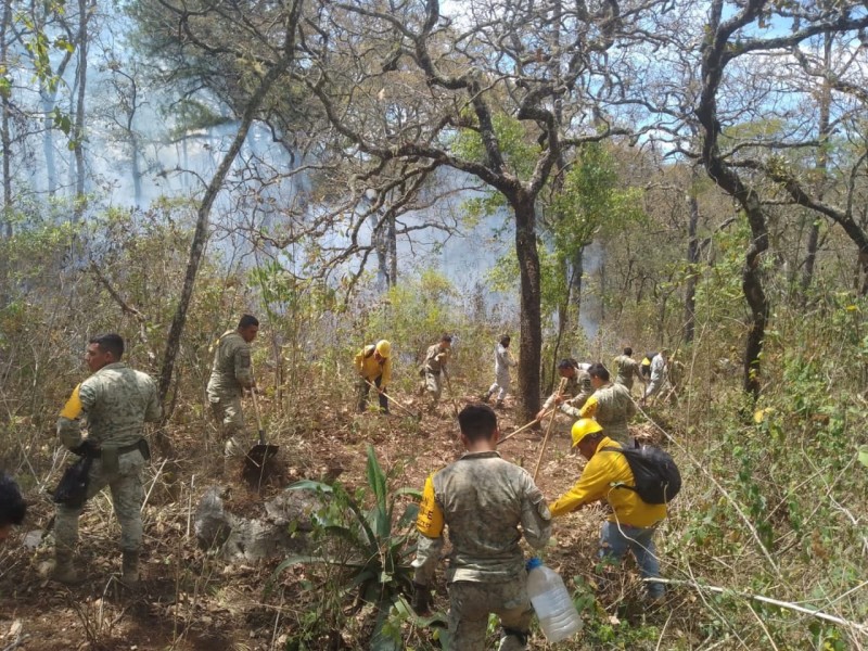 Ya van 63 incendios forestales activos en Durango