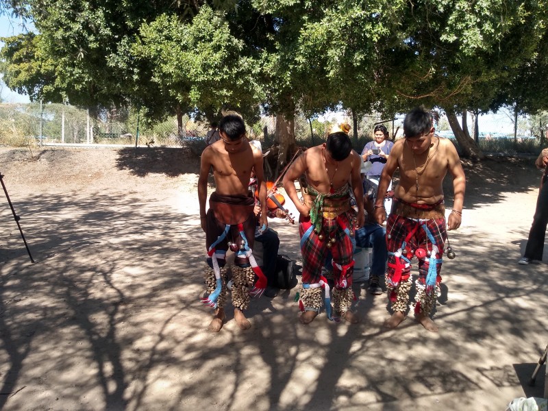 Yaquis realizan danzas tradicionales para conservación de humedal