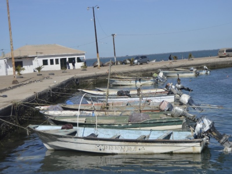 Yavaros: Crisis llega a pescadores por muerte masiva de peces