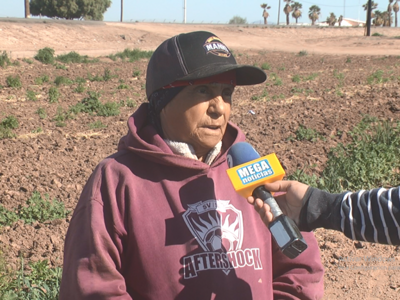 Yolanda Abelarde: 50 años de trayectoria en el campo