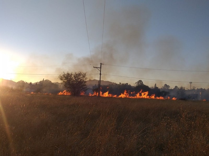 Zacatecas continua con incendios forestales