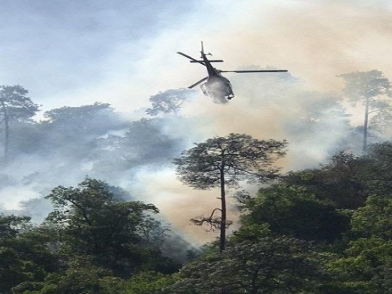 Zacatecas no cuenta con helicóptero cisterna para incendios forestales