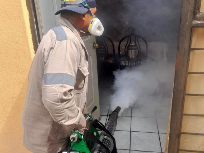 Zacatecas suma 17 casos de dengue; Juchipila concentra la mayoría de contagios