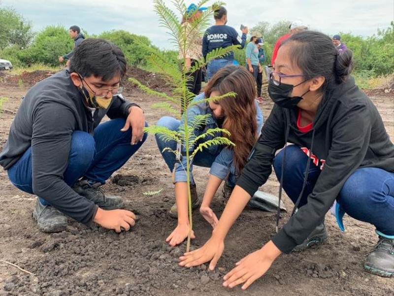 Zamora y Ecuandureo realizan labores de reforestación