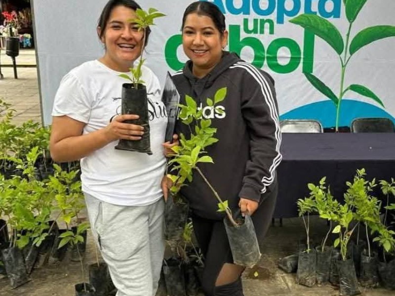 Zamoranos podrán adoptar un árbol durante campaña ecológica