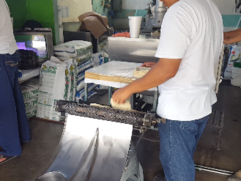 Zihuatanejo podría producir su propio maíz para consumirlo