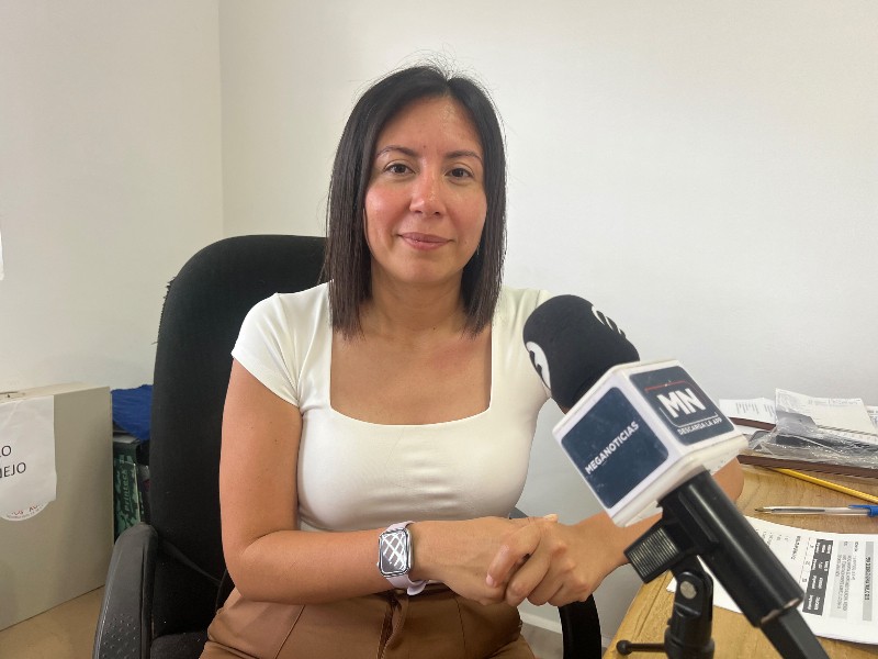 Zihuatanejo, Tecpan y Atoyac concentran mayor movilidad laboral: SNE