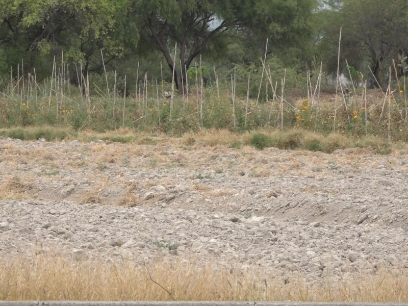 Zinacatepec: Disminuyen al 40% 21 cuerpos de agua. Temperatura: 40°C