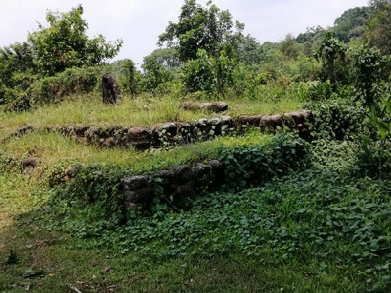 Zona arqueológica de Izapa en completo abandono; INAH omisa